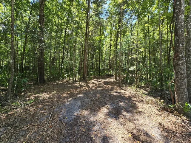 a view of outdoor space and covered with trees