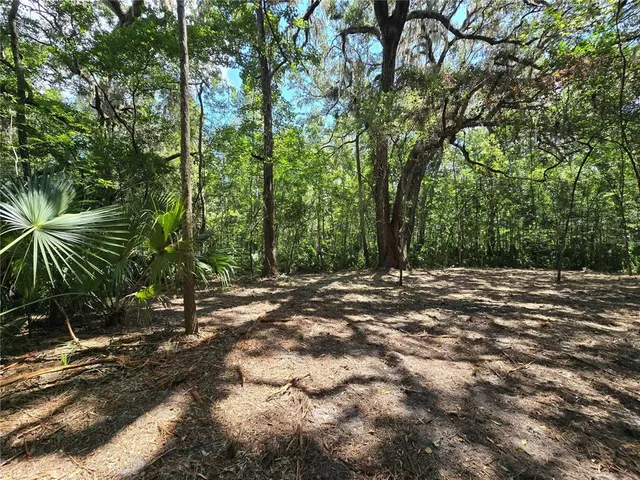 a view of outdoor space with trees