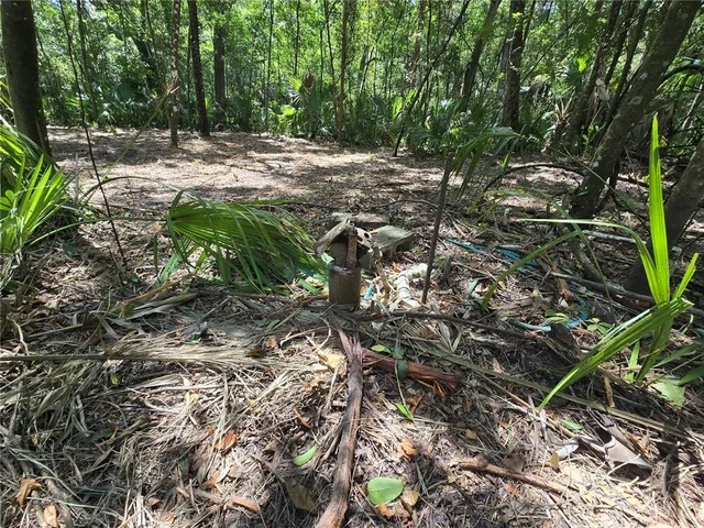 a view of outdoor space and yard