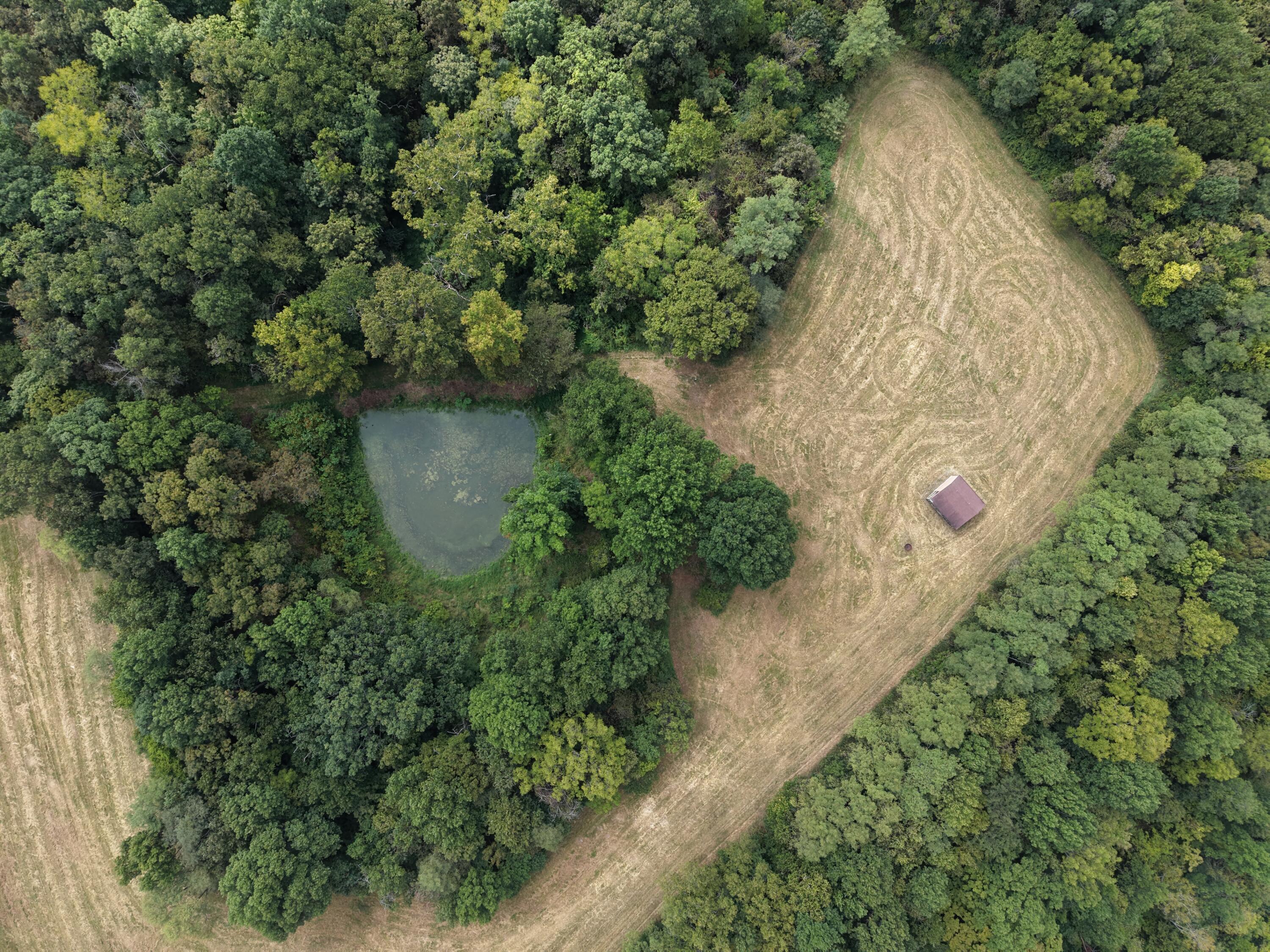0 Micah's Ridge Sparta, KY 41086 - Photo 27 of 44 dji_fly_20260908_131048_0253_17888959021
