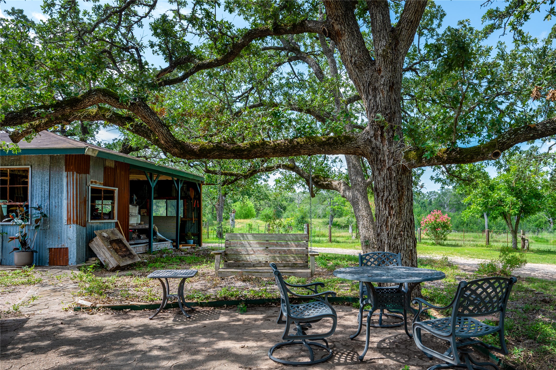270 Dry Creek Road Manor, TX 78653 - Photo 23 of 40 A tranquil outdoor sitting area under mature shade trees, offering a peaceful retreat with rustic charm.