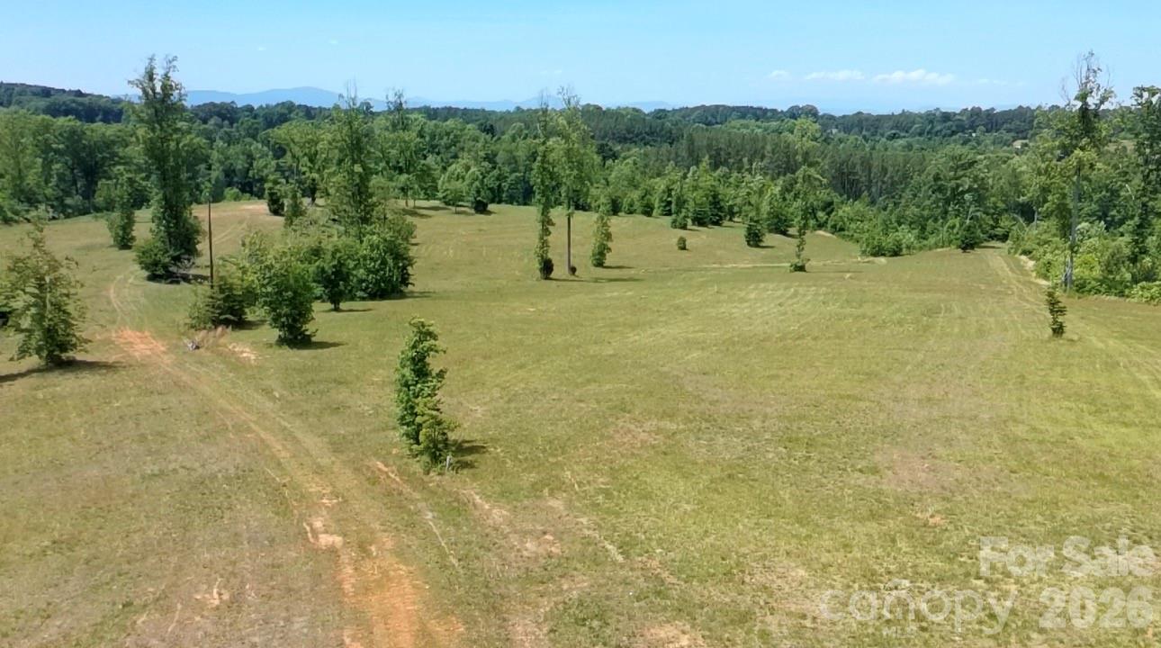 473 McEntire Road Tryon, NC 28782 - Photo 2 of 18