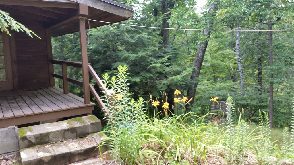 331 Whiley Road Groton, MA 01450 - Photo 6 of 24 Gallery Image 6
