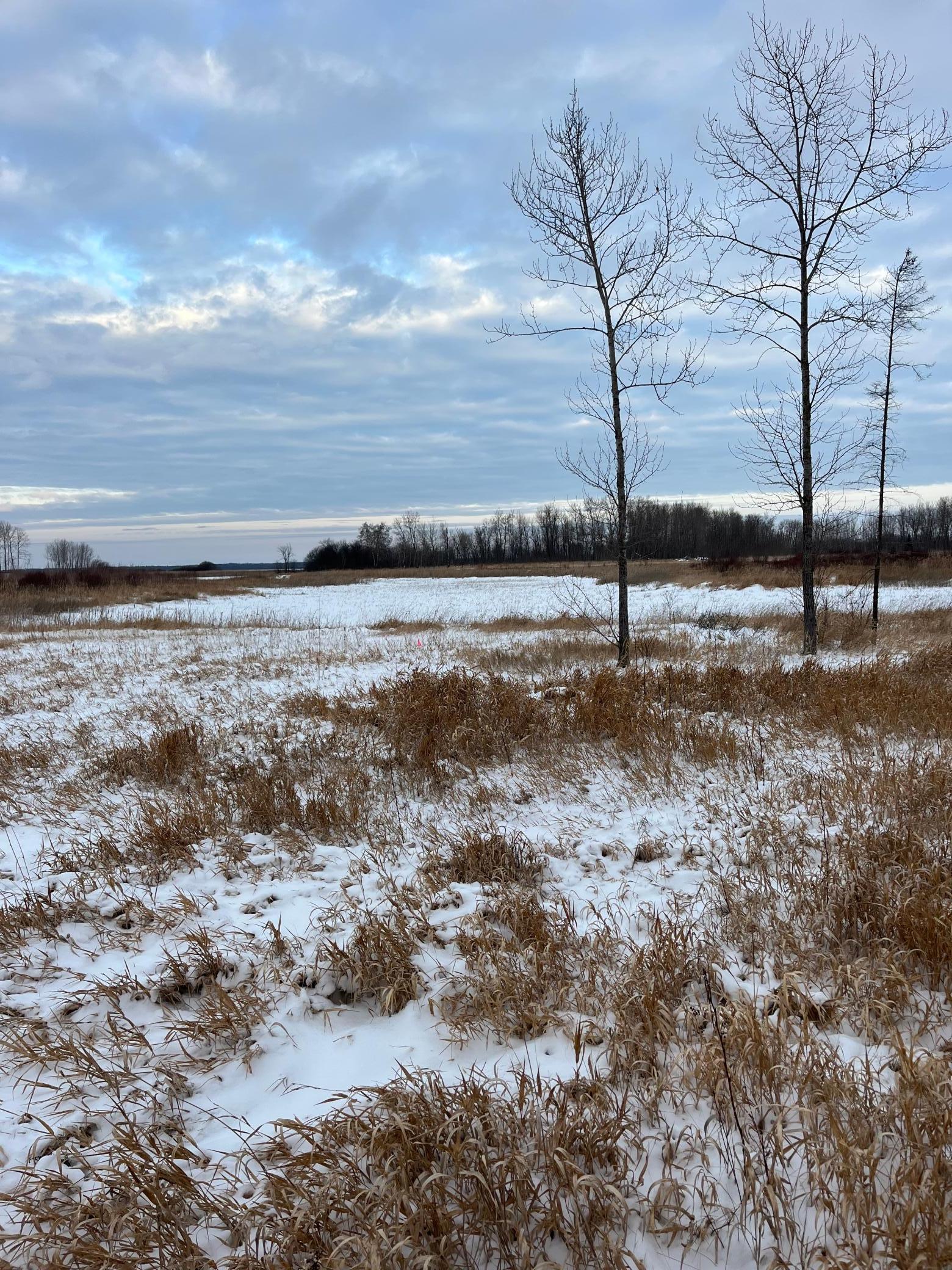 3 East Pine Drive Angle Inlet, MN 56711 - Photo 4 of 7