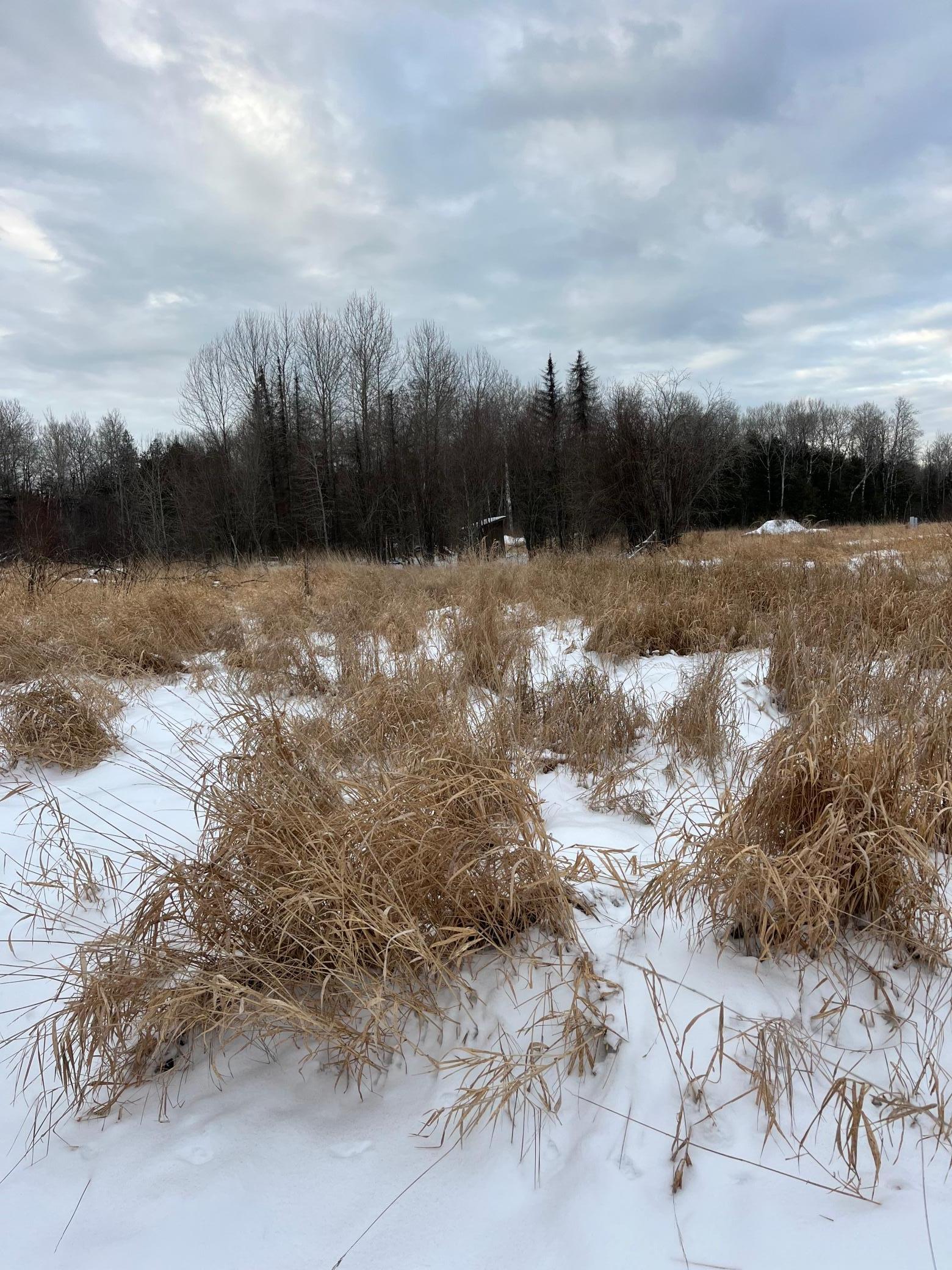 3 East Pine Drive Angle Inlet, MN 56711 - Photo 5 of 7