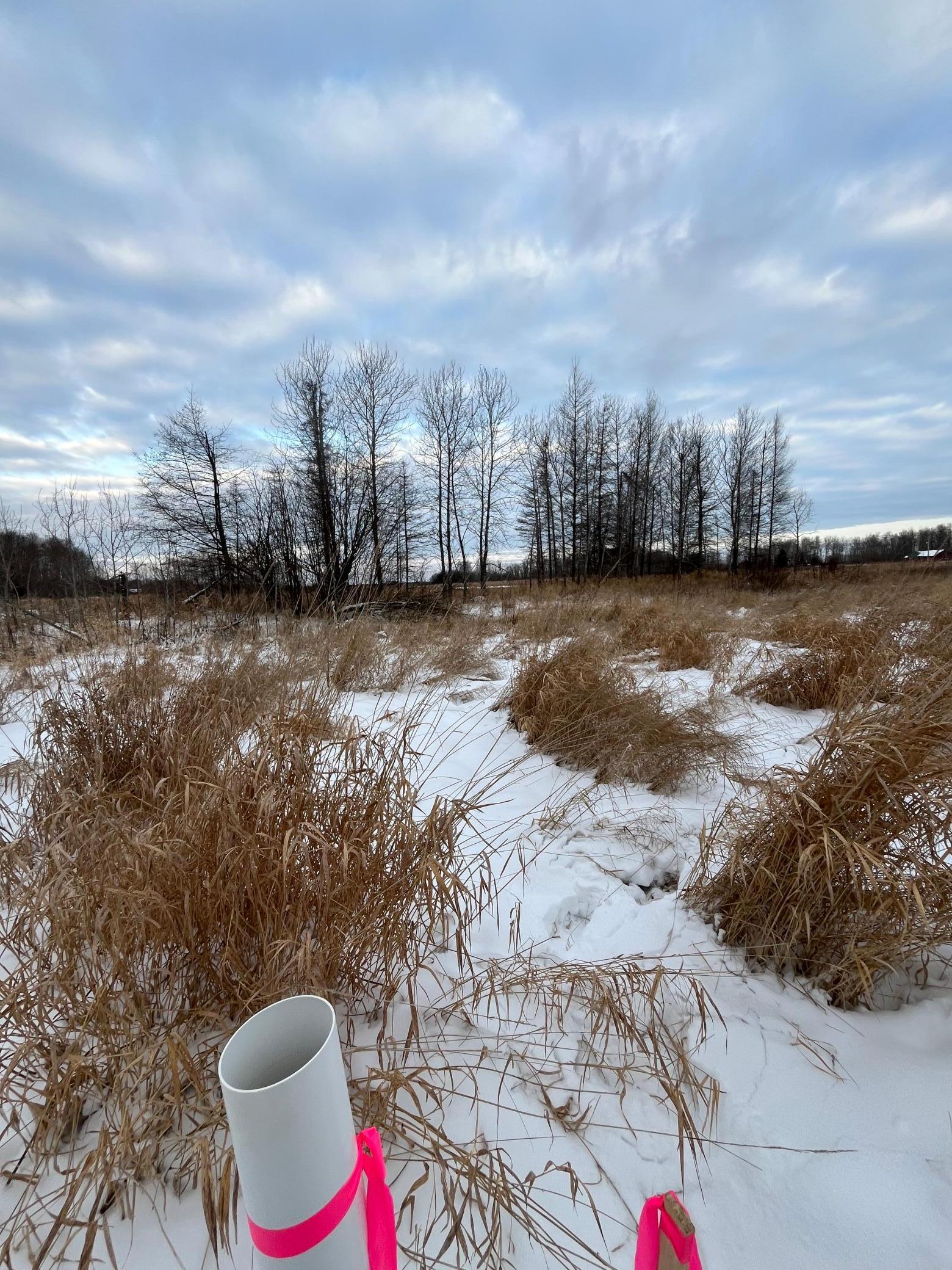 3 East Pine Drive Angle Inlet, MN 56711 - Photo 8 of 9