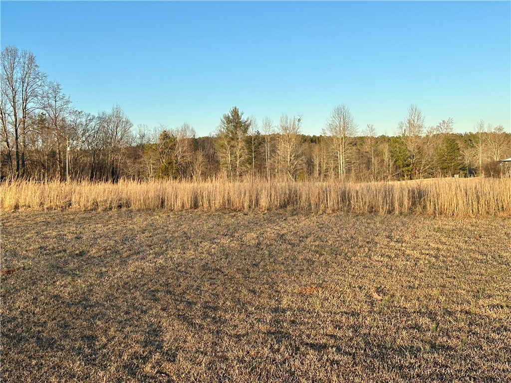0 Pine Mountain Road Salem, SC 29676 - Photo 1 of 17 Gallery Image 1