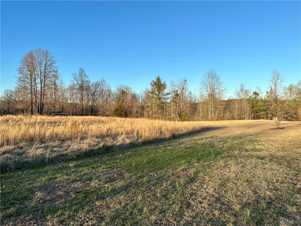 0 Pine Mountain Road Salem, SC 29676 - Photo 3 of 17 Gallery Image 3