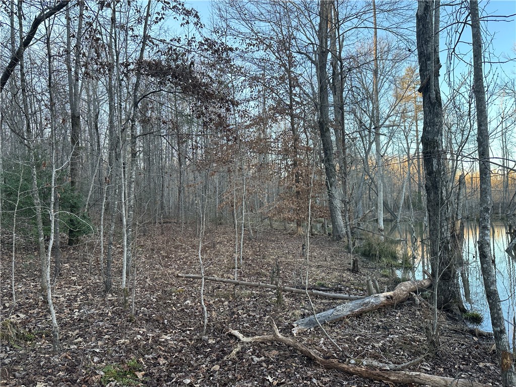 0 Pine Mountain Road Salem, SC 29676 - Photo 8 of 17 Gallery Image 8