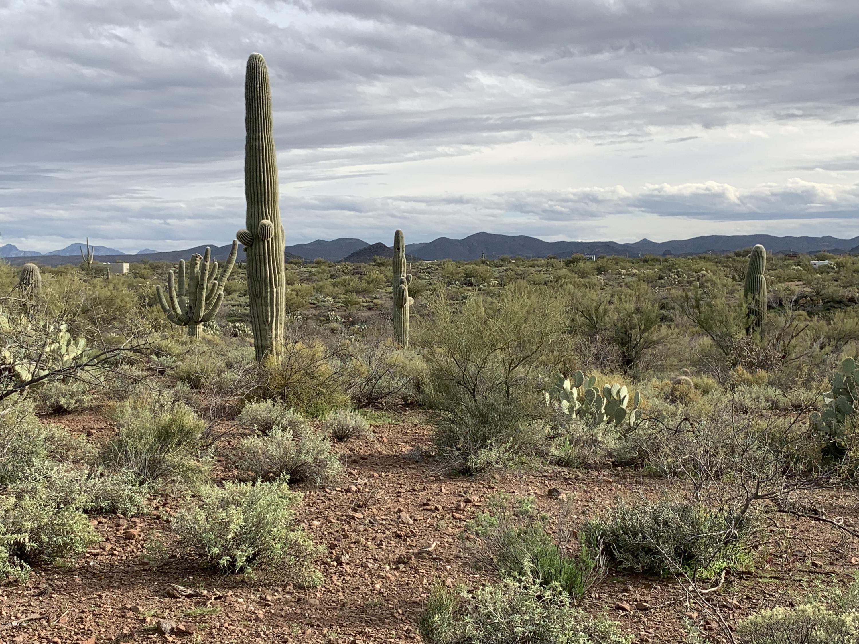 South Escrito Rd/ Rainwater Dr Road Tucson, AZ 85739 - Photo 3 of 11