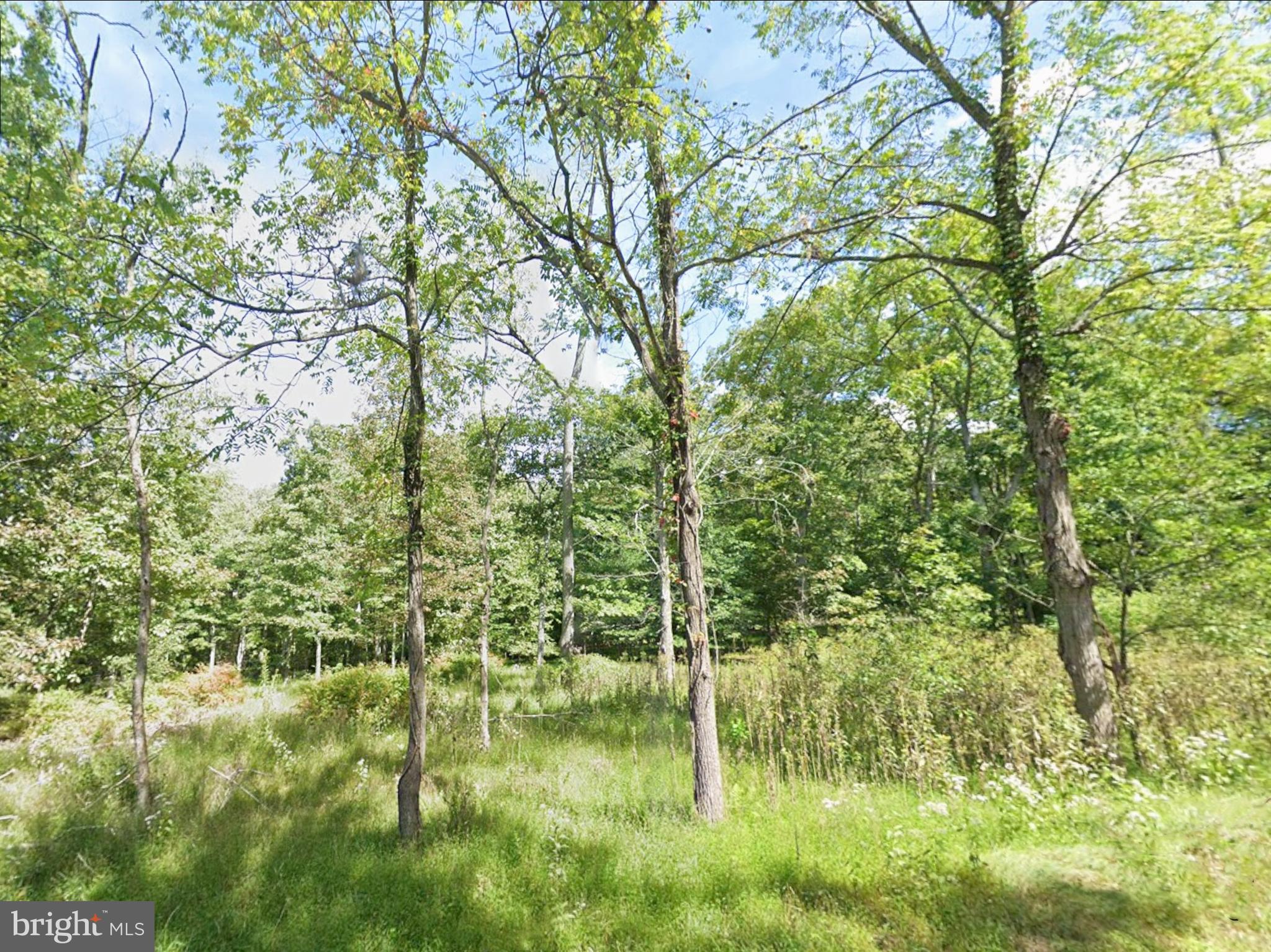 0 Juniata Valley Road Hollidaysburg, PA 16648 - Photo 6 of 13 a view of swimming pool from a yard