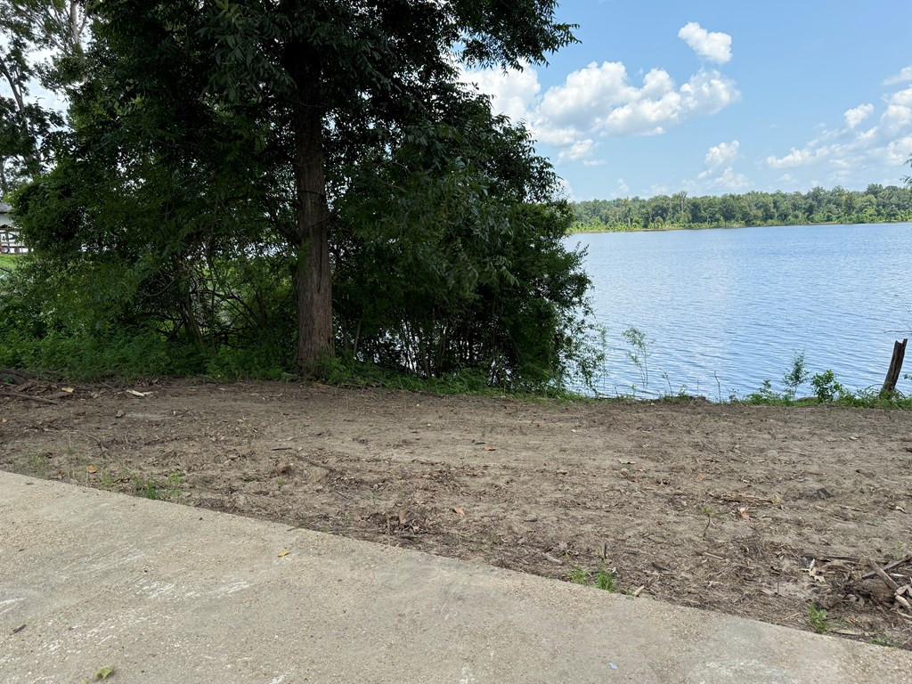 871 Minorca Road Vidalia, LA 71373 - Photo 8 of 10 Photo 8
