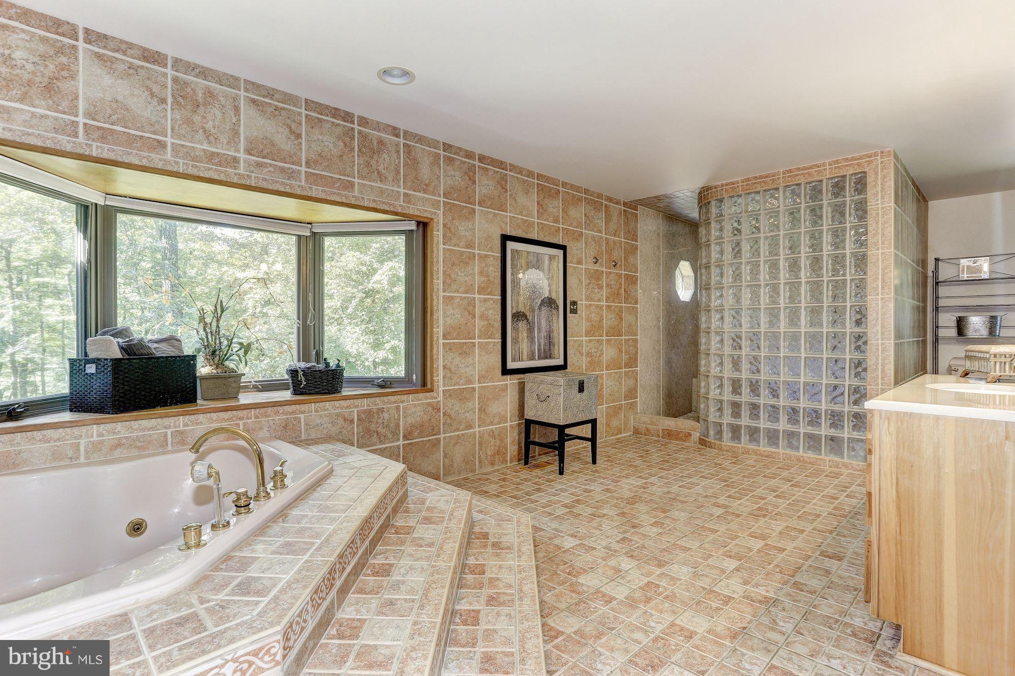 6123 Davis Road Woodbine, MD 21797 - Photo 15 of 30 a spacious bathroom with a tub sink and large mirror