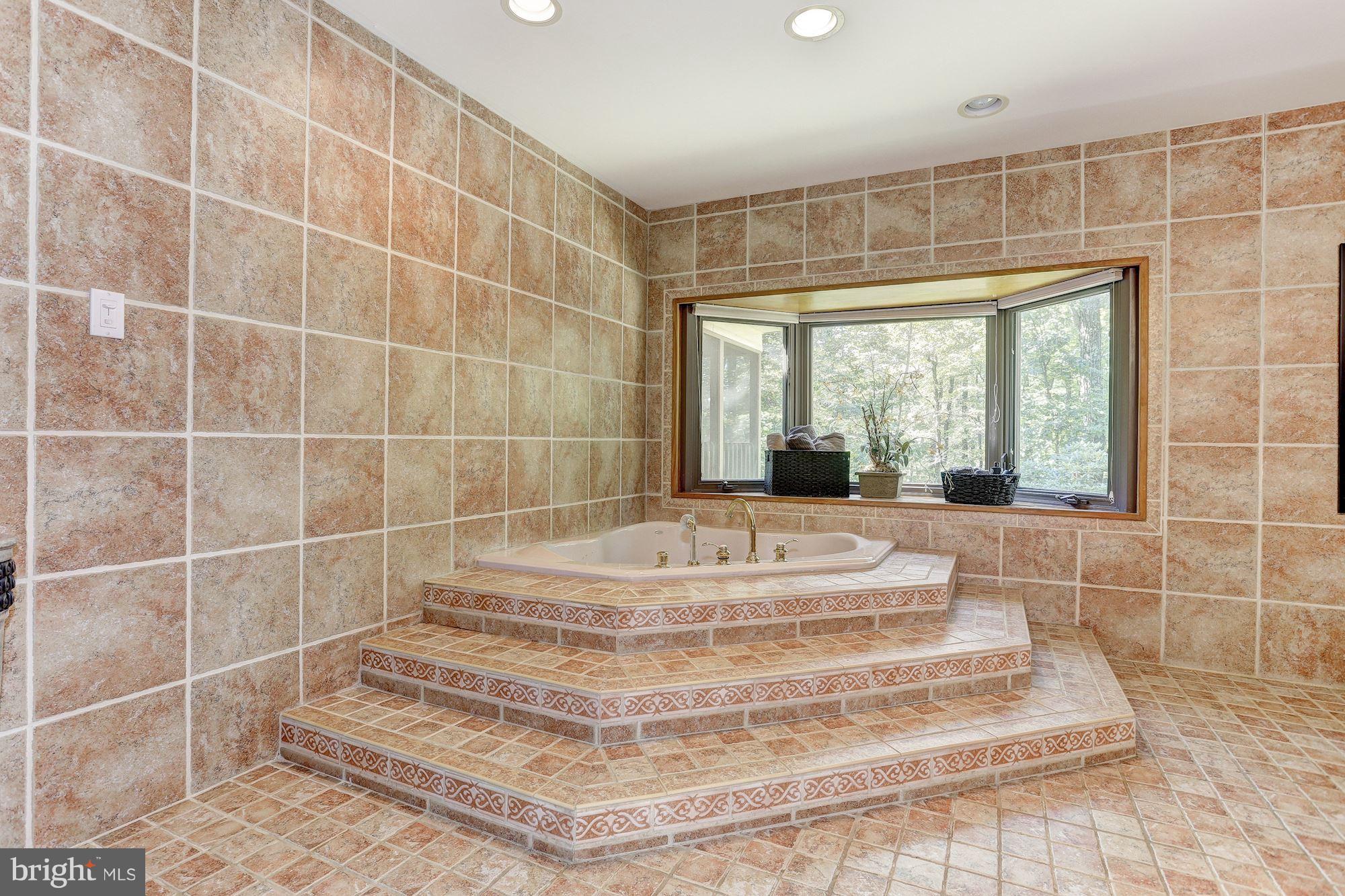 6123 Davis Road Woodbine, MD 21797 - Photo 17 of 30 a view of bathroom with sink and shower