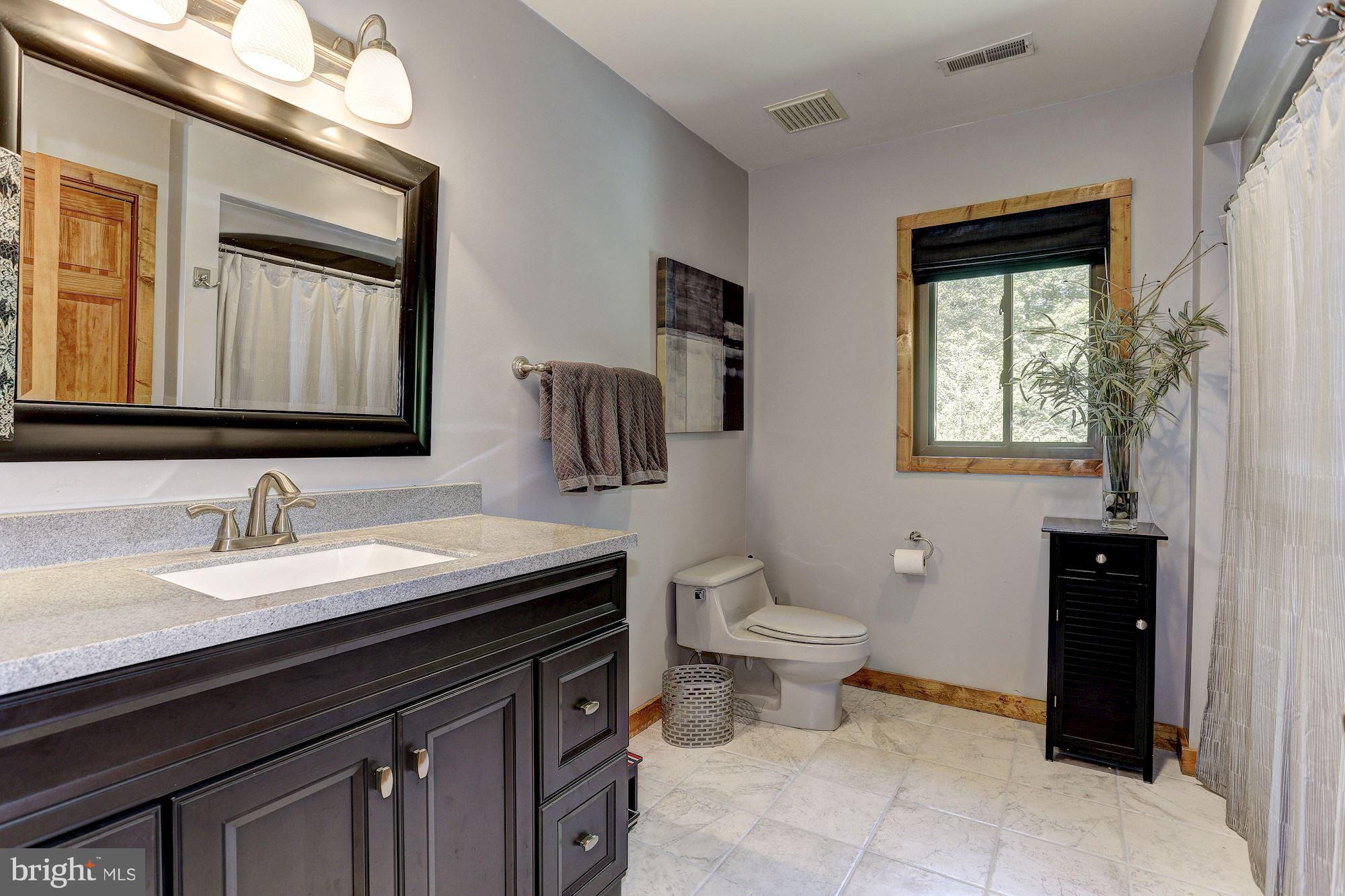6123 Davis Road Woodbine, MD 21797 - Photo 27 of 30 a bathroom with a granite countertop toilet sink and mirror