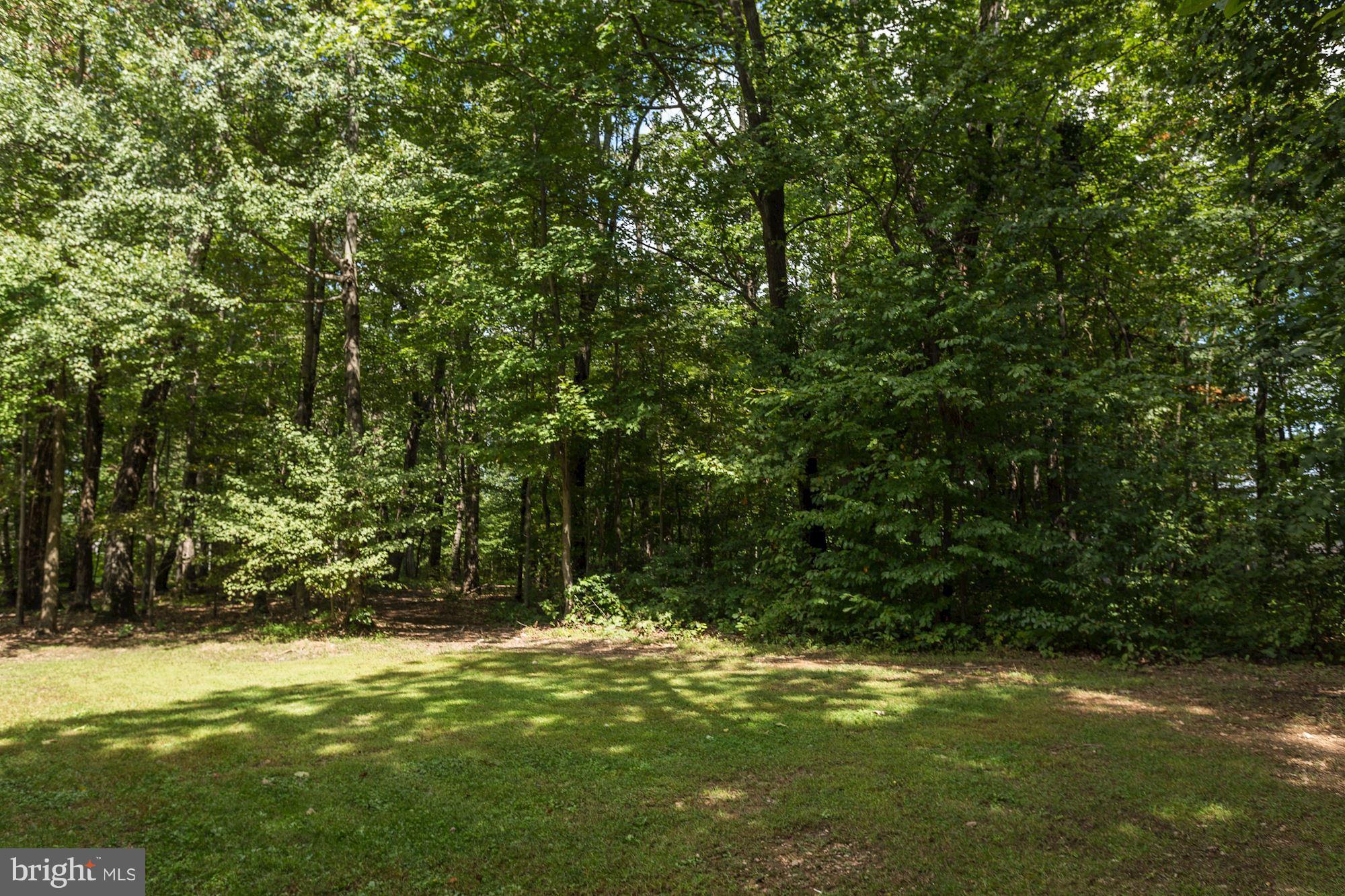 6123 Davis Road Woodbine, MD 21797 - Photo 30 of 30 a view of a trees