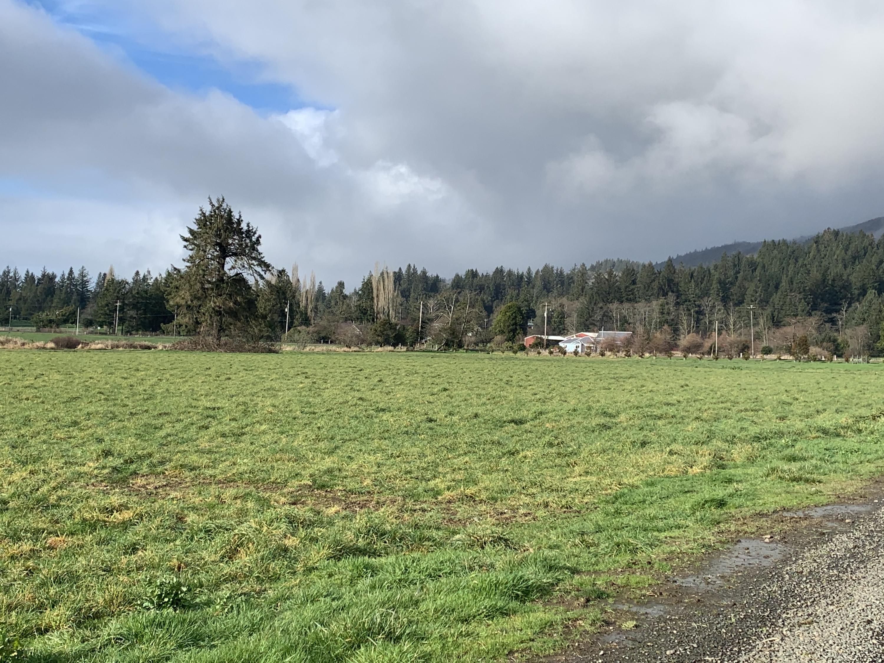 502 Hathaway Road Tillamook, OR 97141 - Photo 2 of 6 IMG-6998