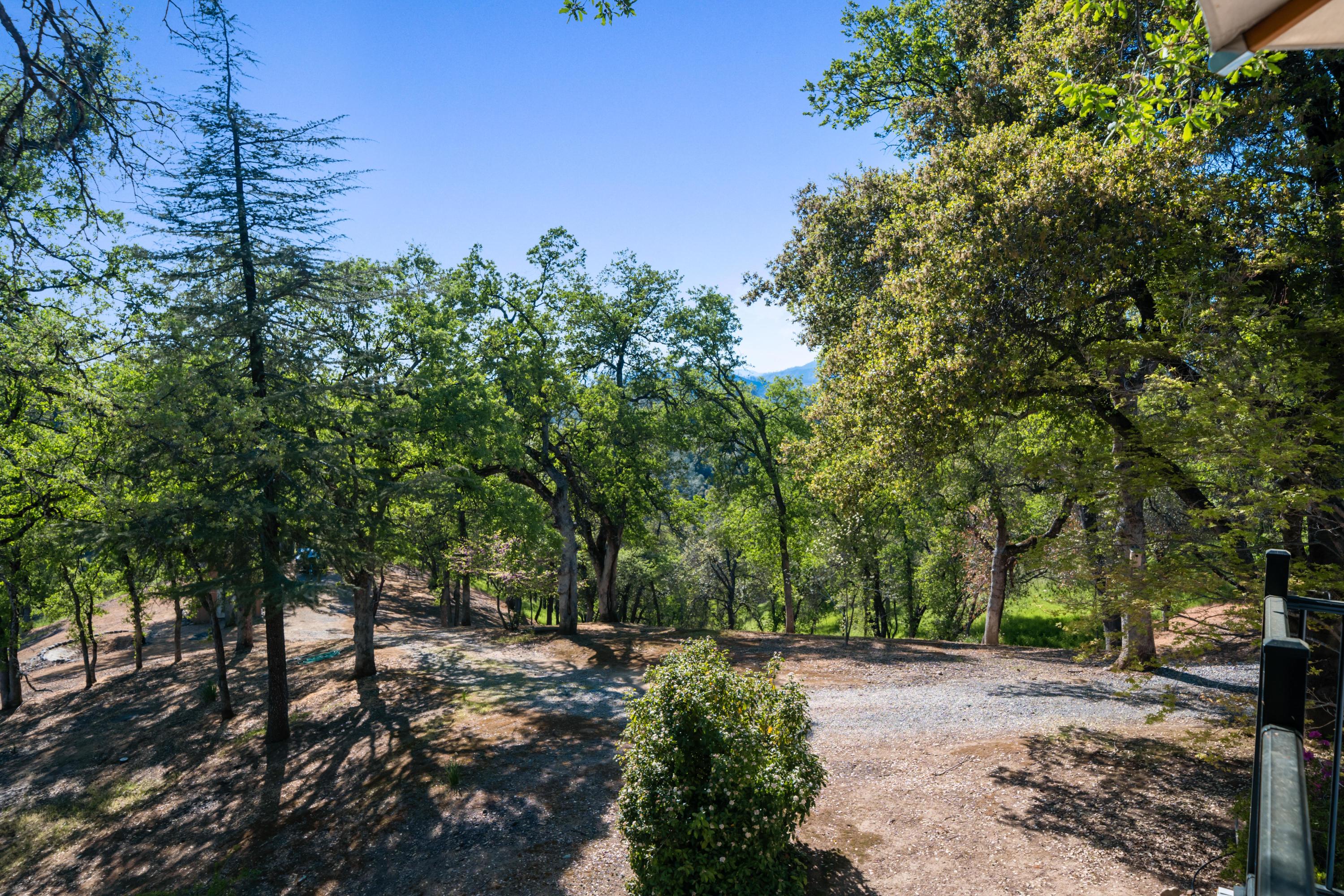 7777 Justice Mine Road Redding, CA 96001 - Photo 40 of 59 a big yard with flowing stream of water in middle