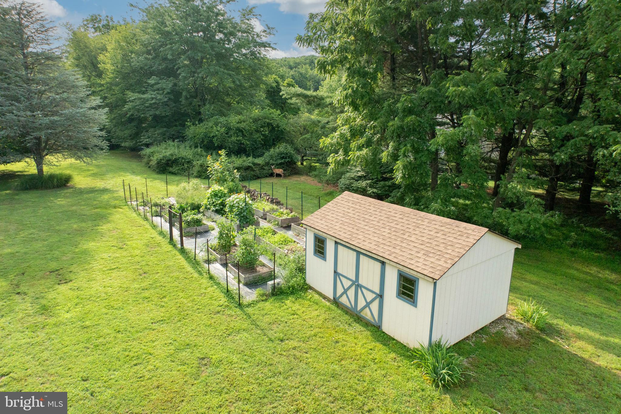 55 Line Road Malvern, PA 19355 - Photo 39 of 61 Outdoor Shed with raised bed garden