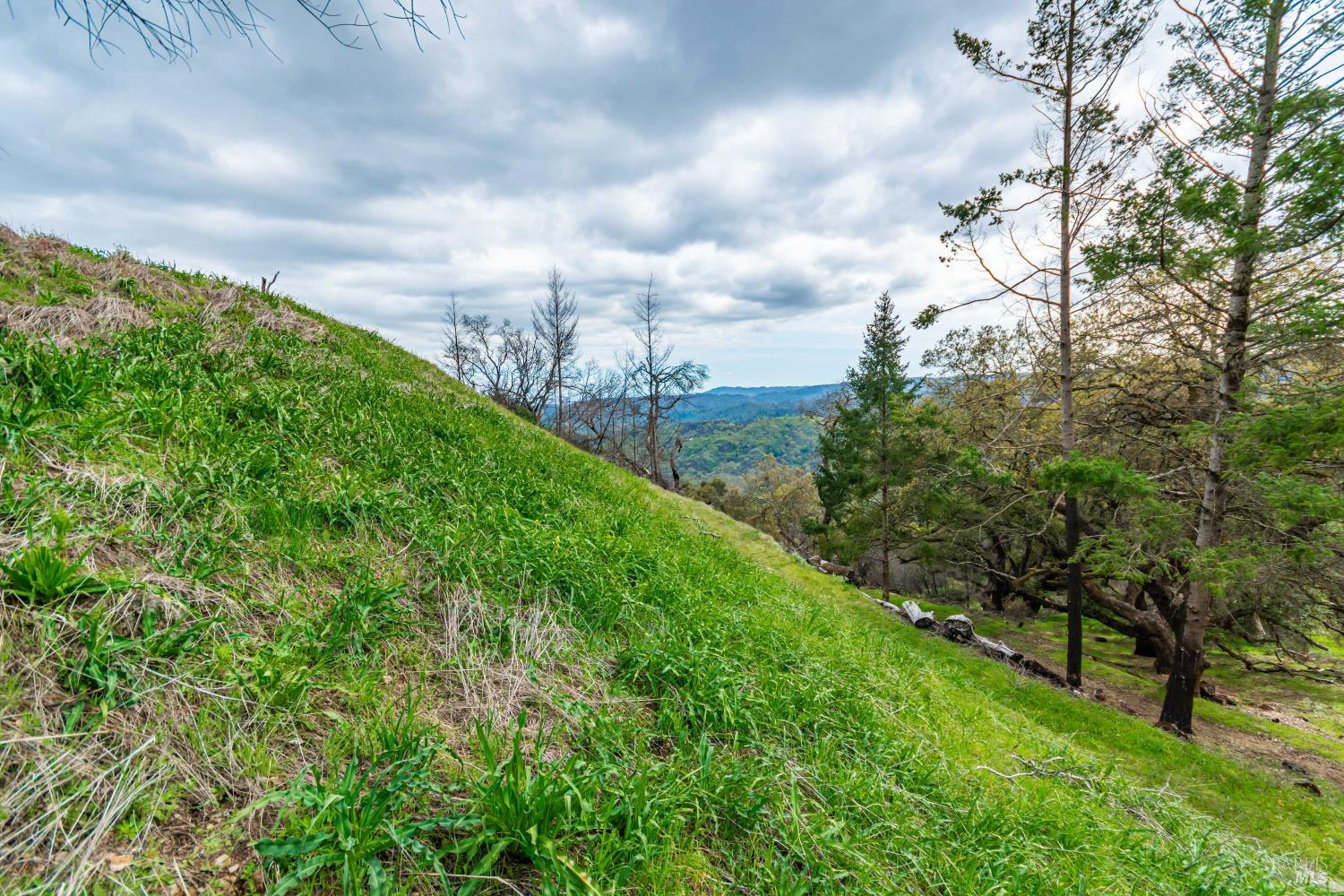 1401 Big Ridge Road Healdsburg, CA 95448 - Photo 52 of 86