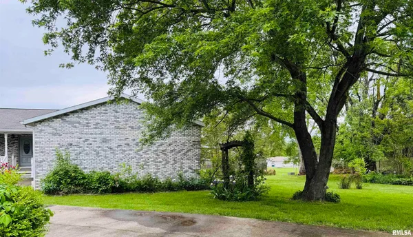 a view of a yard with plants and trees