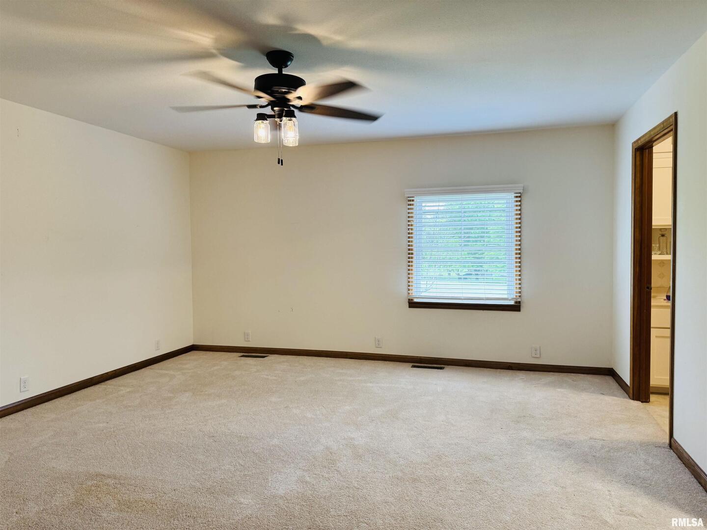 111 Stork Street Anna, IL 62906 - Photo 32 of 33