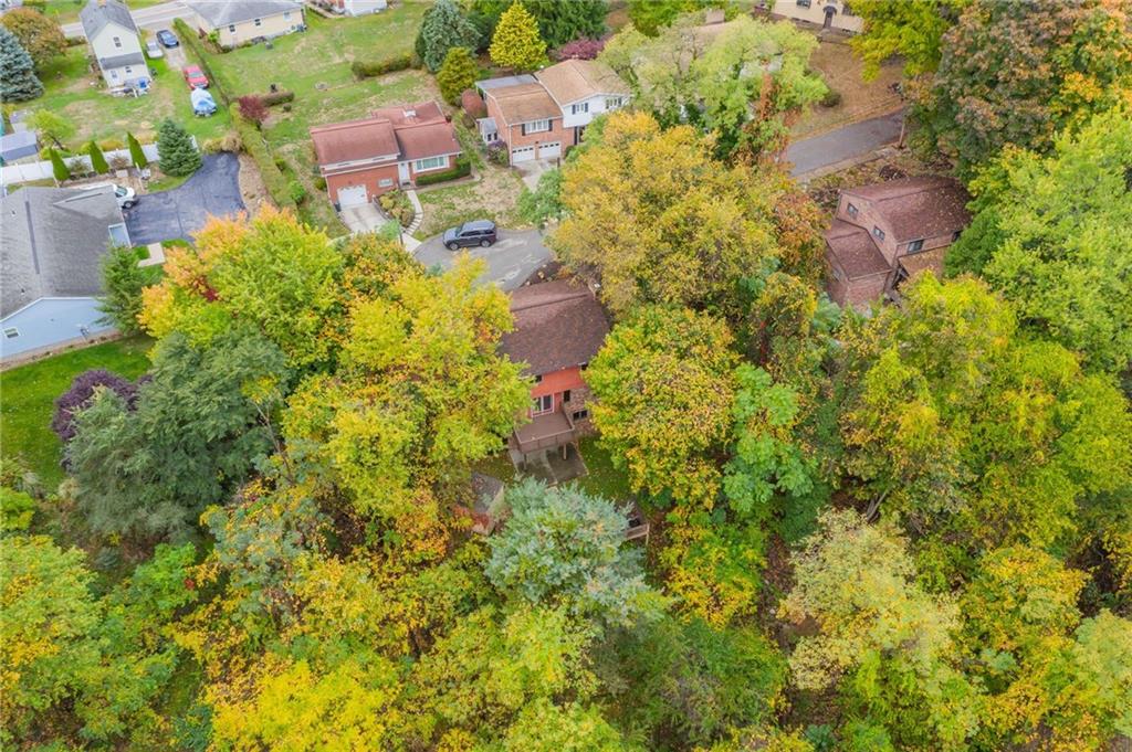 37 Roxbury Road Pittsburgh, PA 15221 - Photo 19 of 22 Wooded Lot