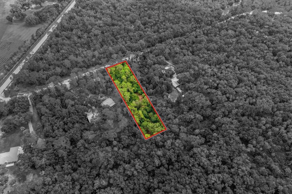 Mar Lisa Cove Road Lake Wales, FL 33898 - Photo 18 of 20