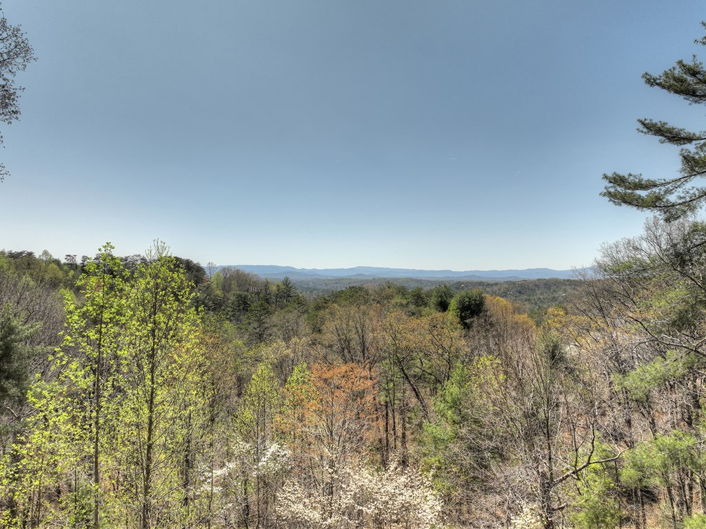 143 Katydid Road Morganton, GA 30560 - Photo 54 of 55 Gallery Image 54