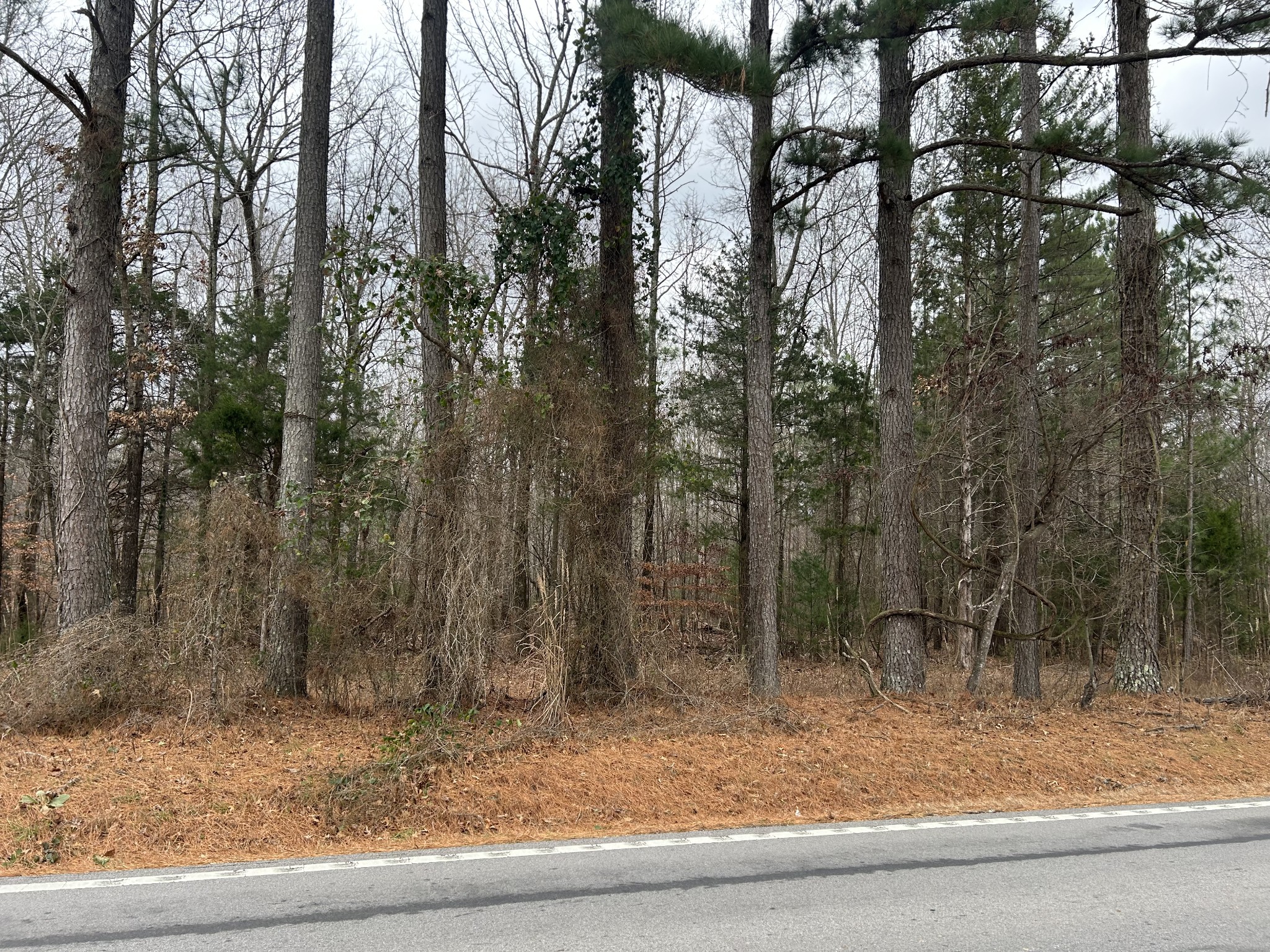 4927 Hillsboro Viola Road Manchester, TN 37355 - Photo 13 of 15 a view of a yard with large trees