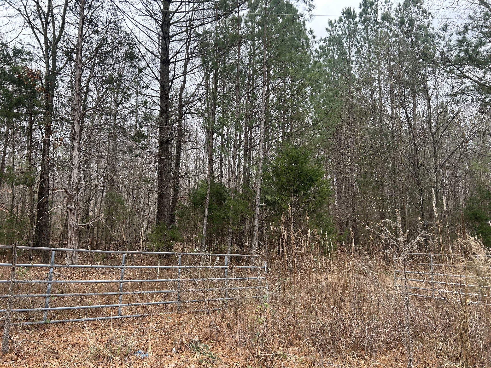 4927 Hillsboro Viola Road Manchester, TN 37355 - Photo 14 of 15 a view of a yard with large trees