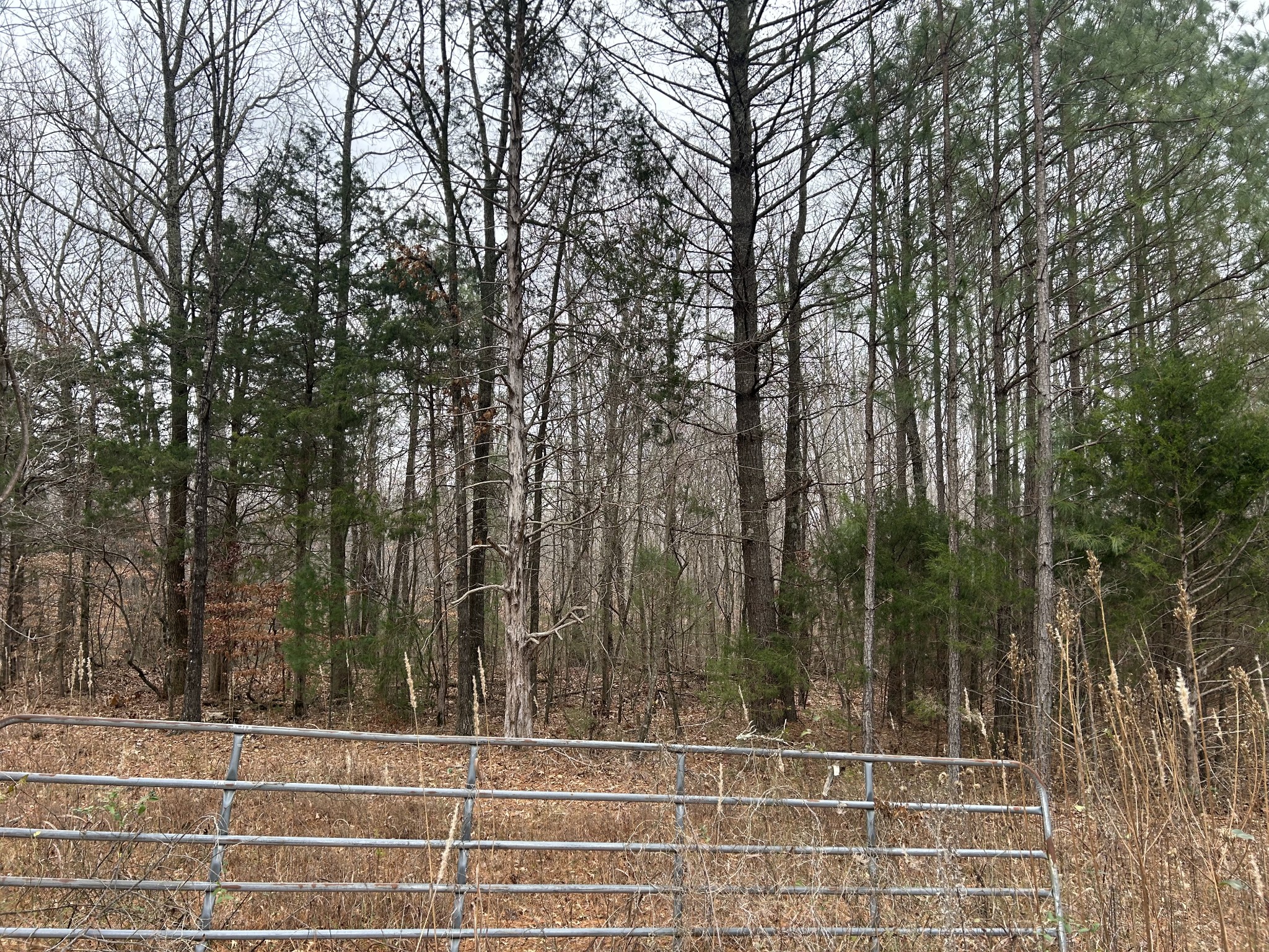 4927 Hillsboro Viola Road Manchester, TN 37355 - Photo 15 of 15 a view of a pathway both side of house