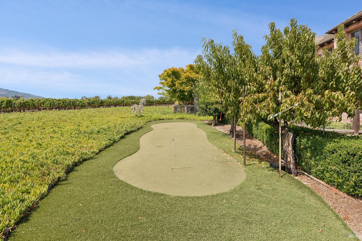 55 Hunter Ranch Road Napa, CA 94558 - Photo 90 of 99 Gallery Image 90