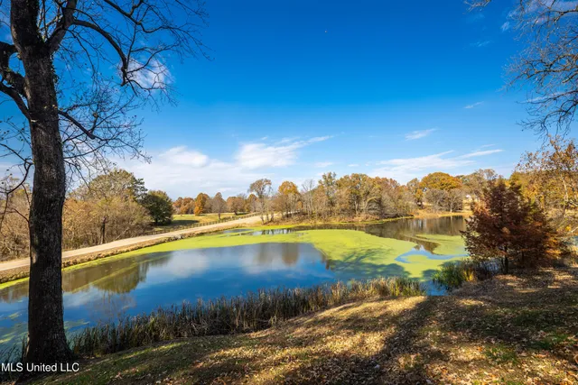 $1,250,000 | 8000 Austin Road, Lake Cormorant, MS 38641