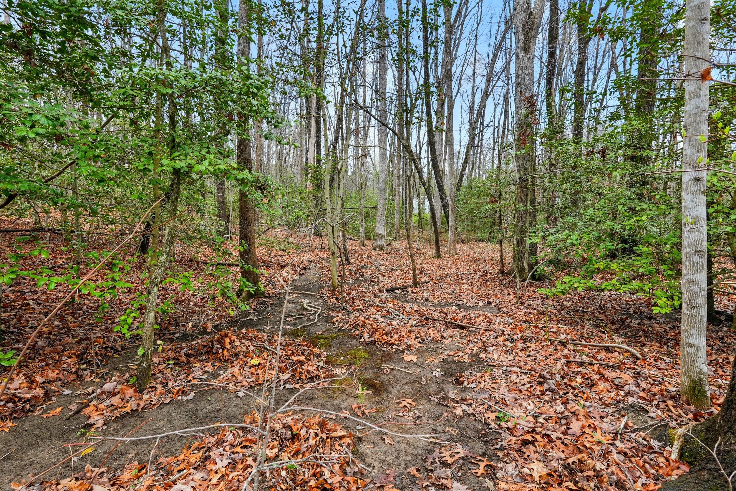 2424 Corral Road Signal Mountain, TN 37377 - Photo 11 of 28 photo_001