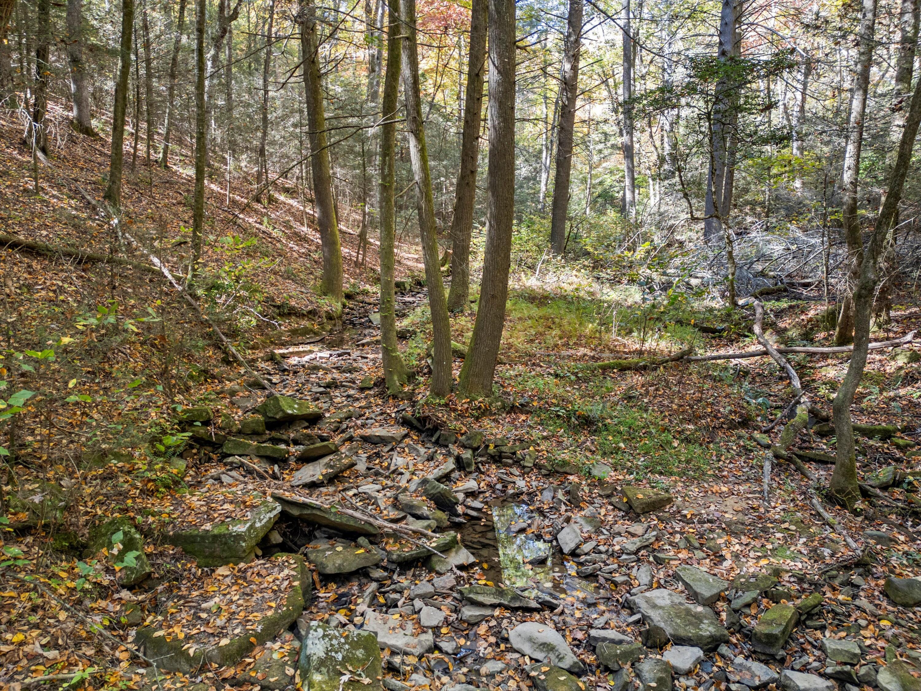 2424 Corral Road Signal Mountain, TN 37377 - Photo 13 of 28 11-DJI_0545