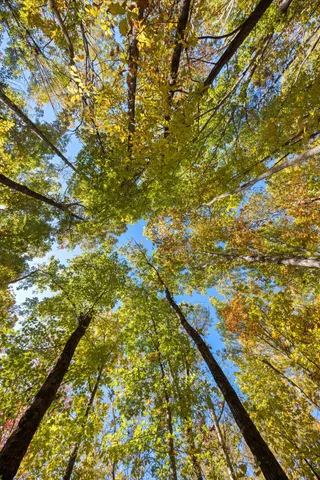 $249,900 | 2424 Corral Road, Signal Mountain, TN 37377