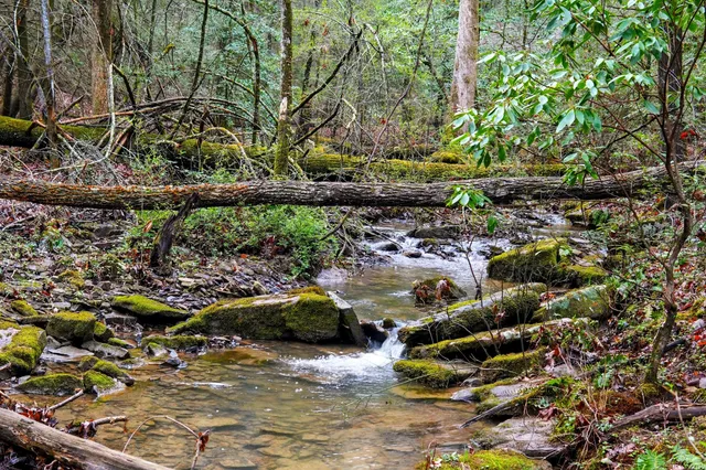 $249,900 | 2424 Corral Road, Signal Mountain, TN 37377