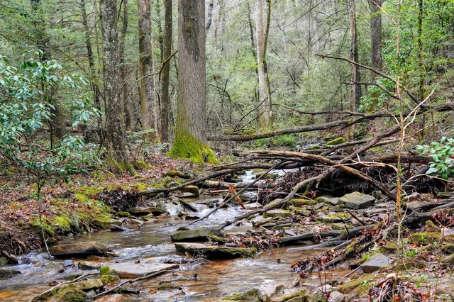 $249,900 | 2424 Corral Road, Signal Mountain, TN 37377