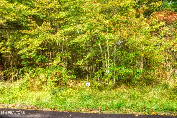 $81,000 | Lot 13 Old Mt Helen Road, Allardt, TN 38504