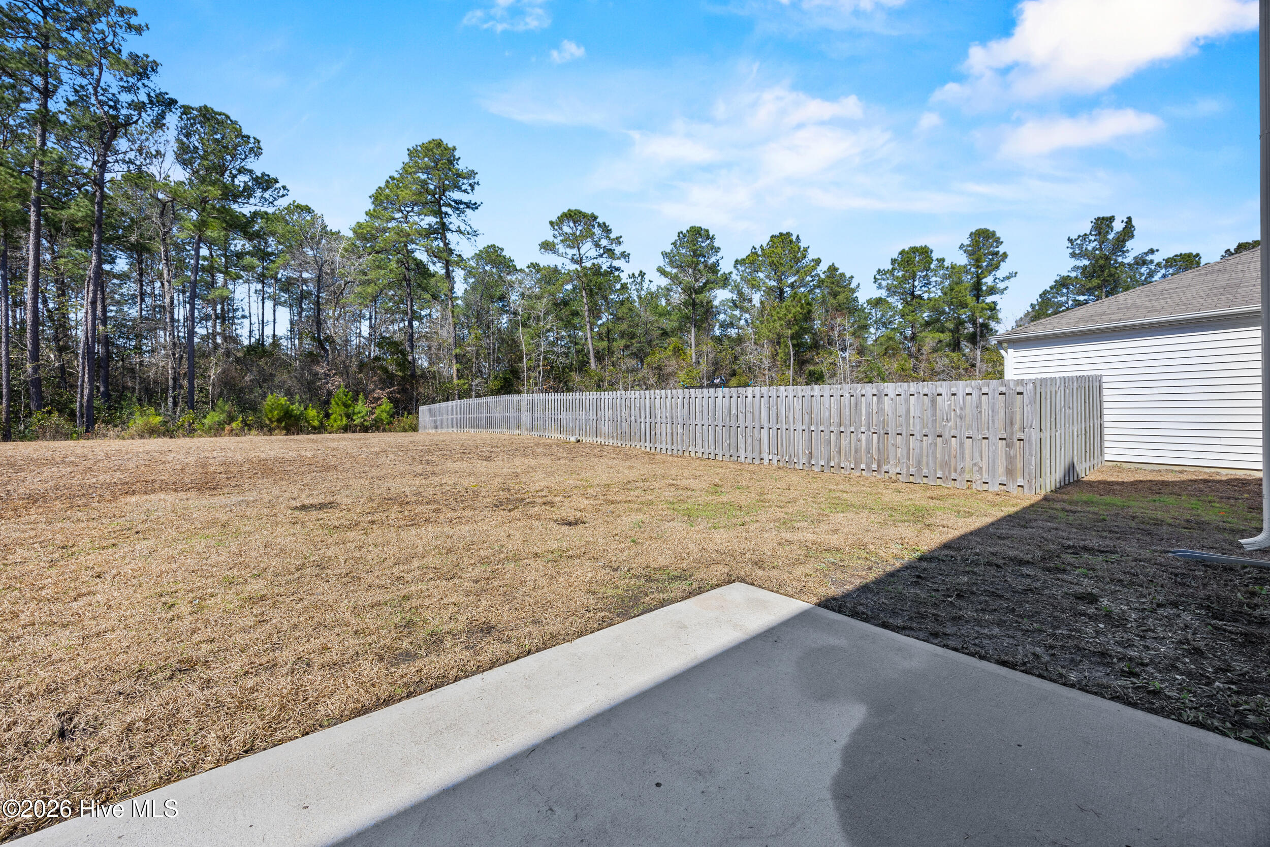 756 Buckeye Road Northeast Leland, NC 28451 - Photo 46 of 63 Backyard