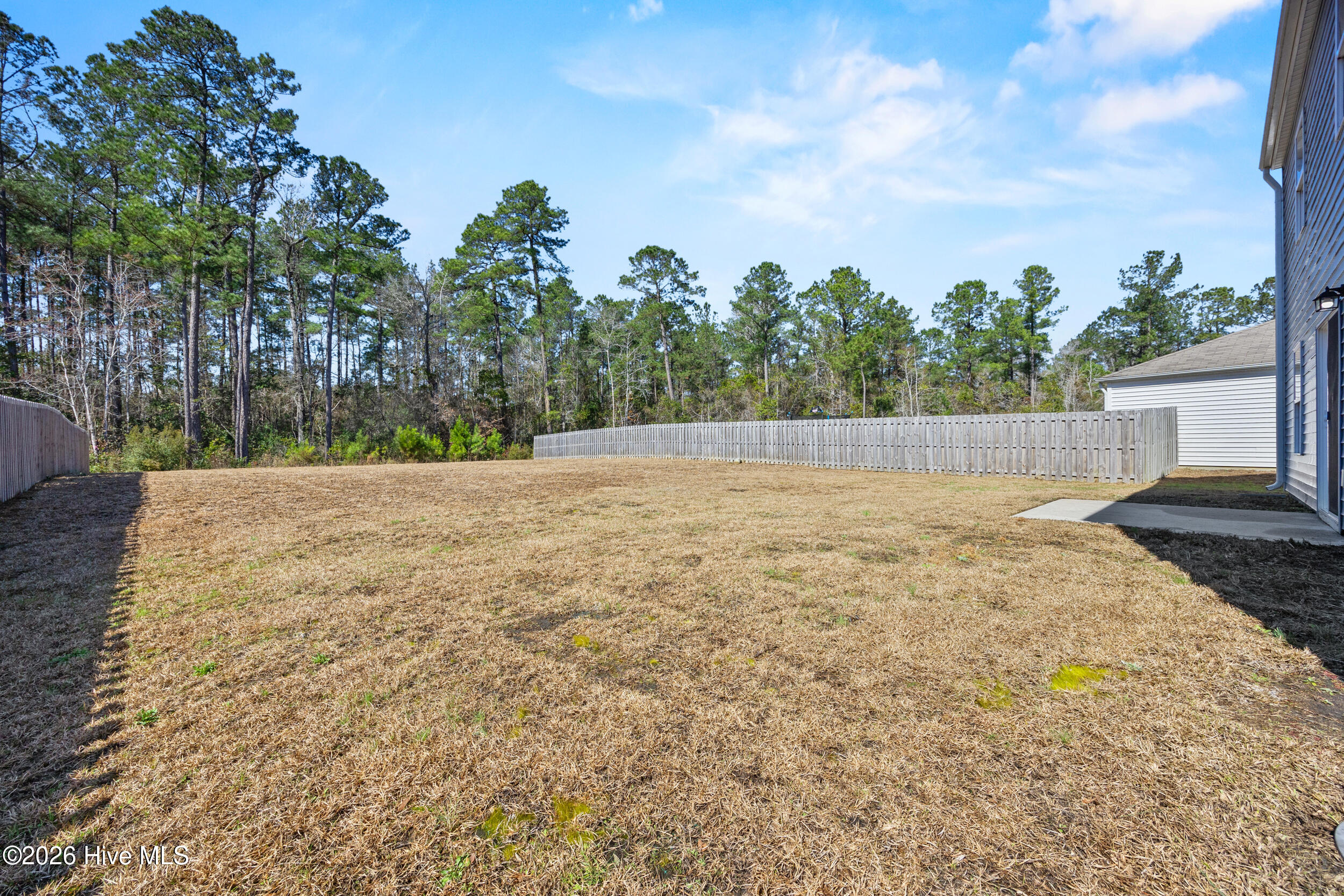 756 Buckeye Road Northeast Leland, NC 28451 - Photo 48 of 63 Backyard