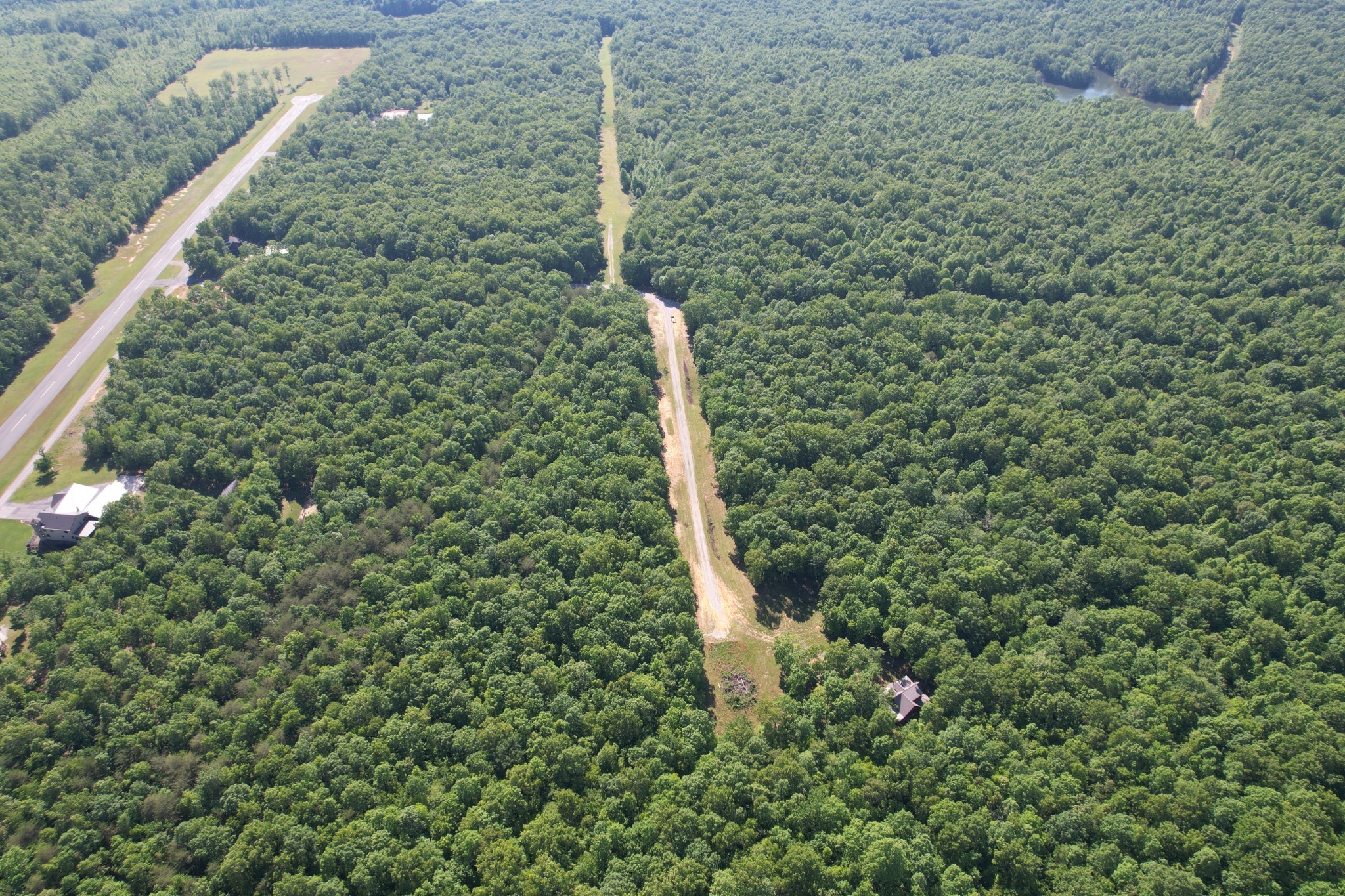 0 West Greenwell Road Altamont, TN 37301 - Photo 20 of 24 a view of a forest