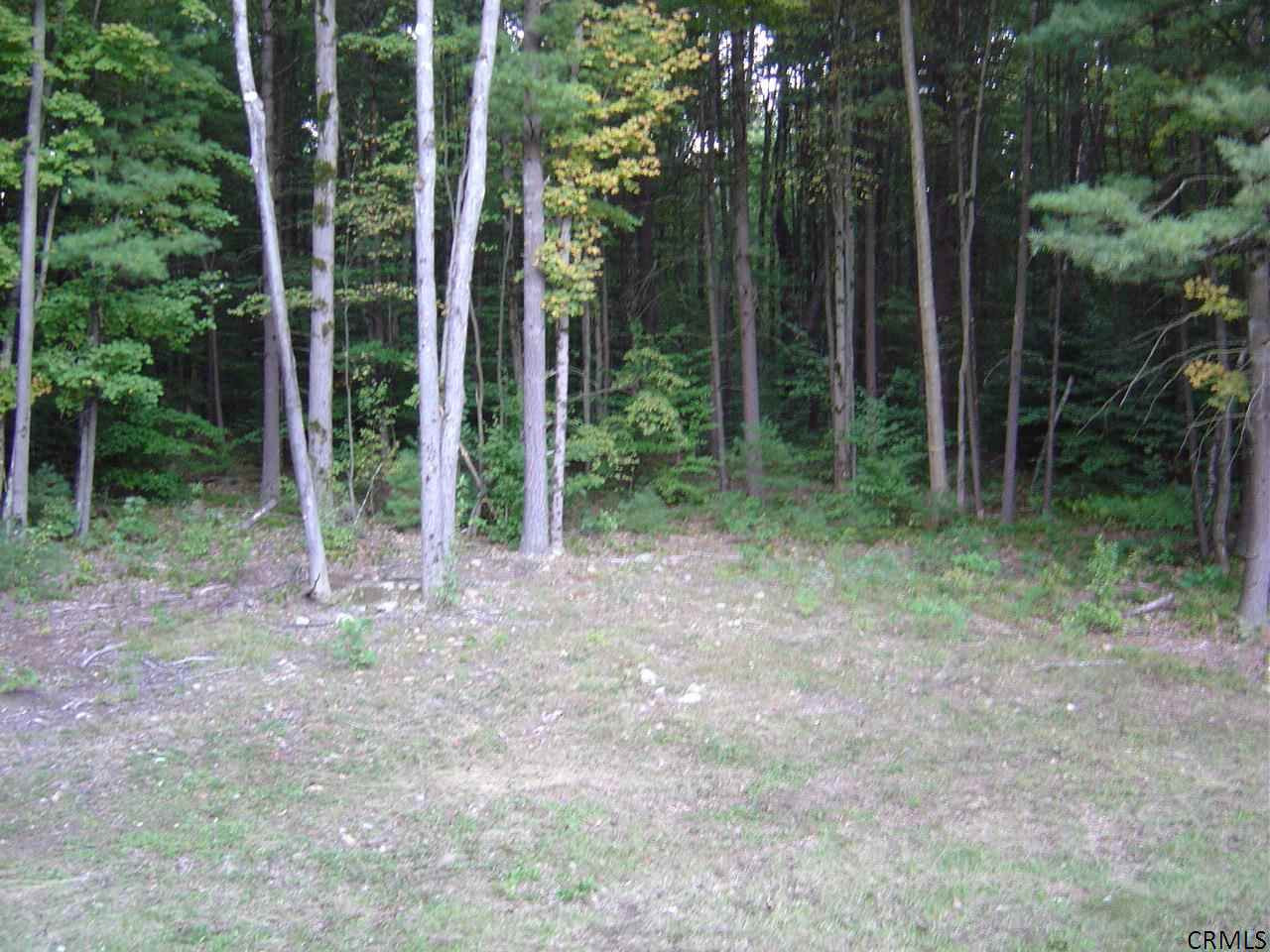 380 Brigham Road Greenfield, NY 12833 - Photo 11 of 12 Photo 11