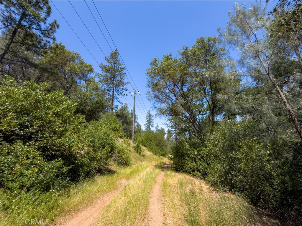 10 Miller Road Mariposa, CA 95338 - Photo 34 of 34 a view of a yard