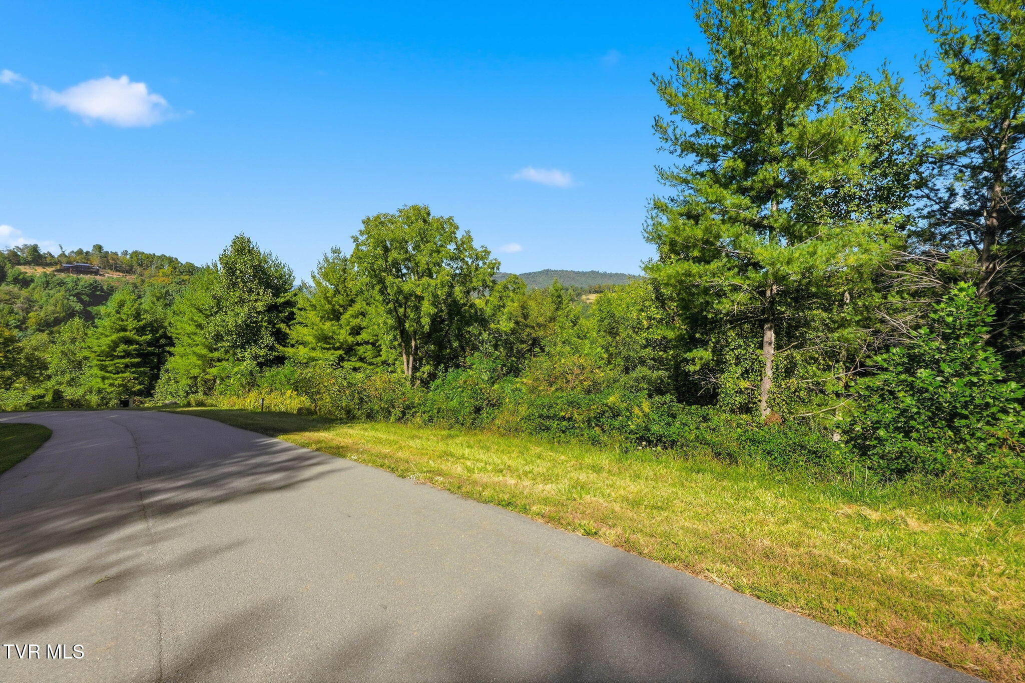 Lot 20 Cowan Town Road Butler, TN 37640 - Photo 13 of 24 12-web-or-mls-Lot 20 Cowan Town Rd-6