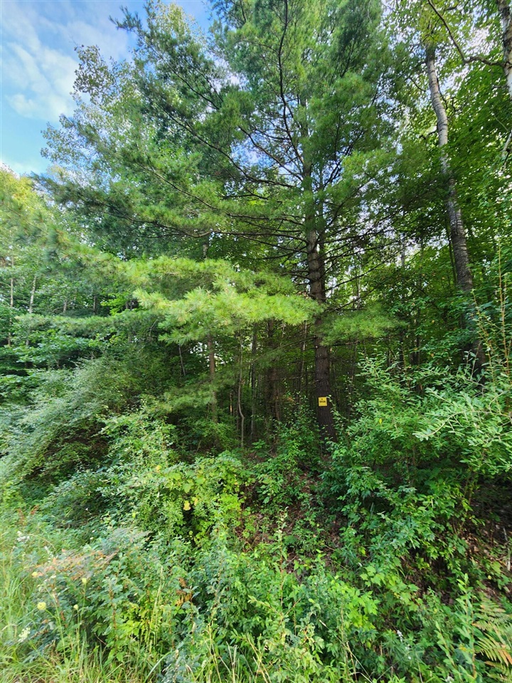 17 17 Mile Road Lakeview, MI 48850 - Photo 2 of 7