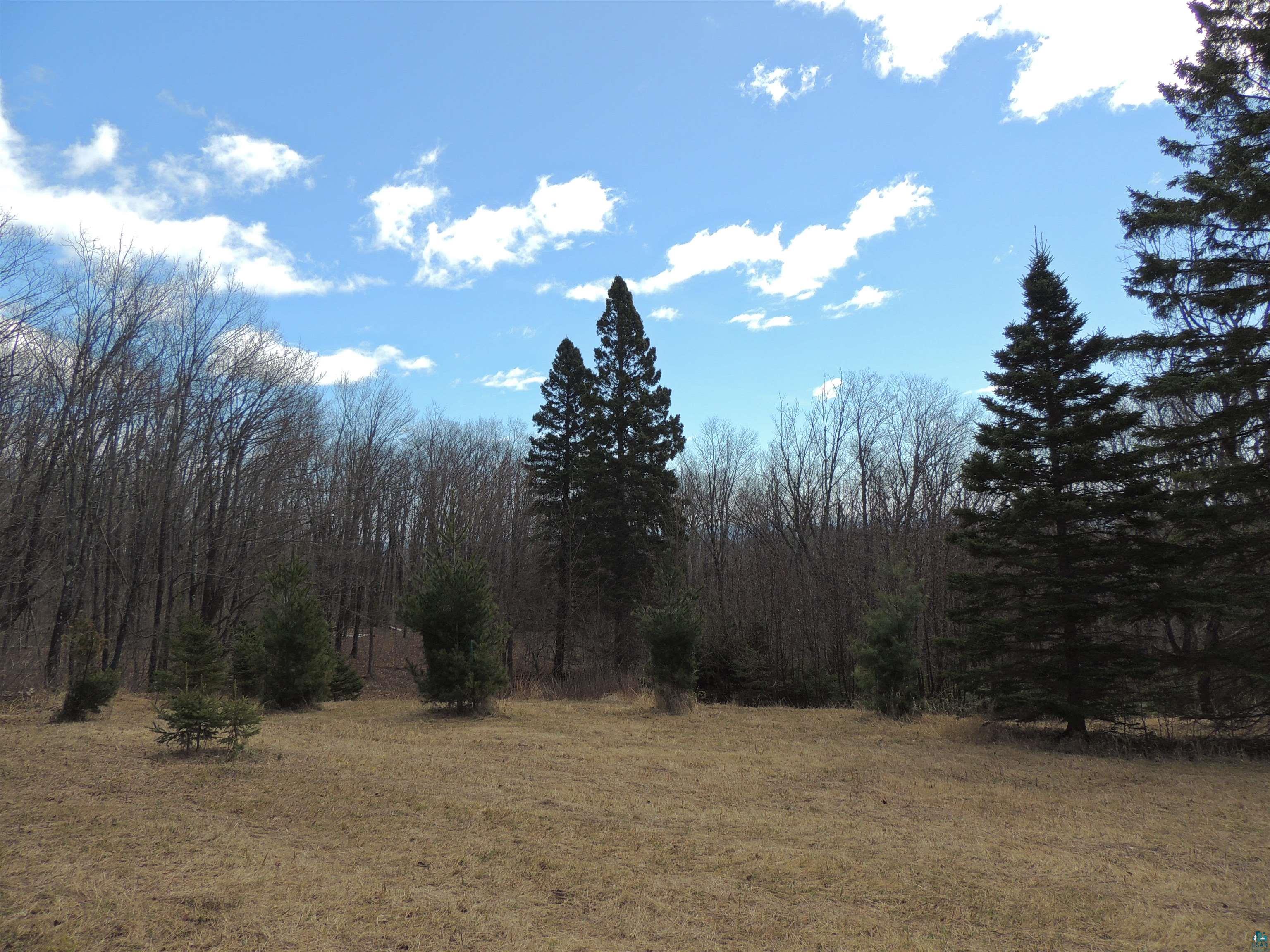 Xxx Springdale Road Tofte, MN 55615 - Photo 11 of 36