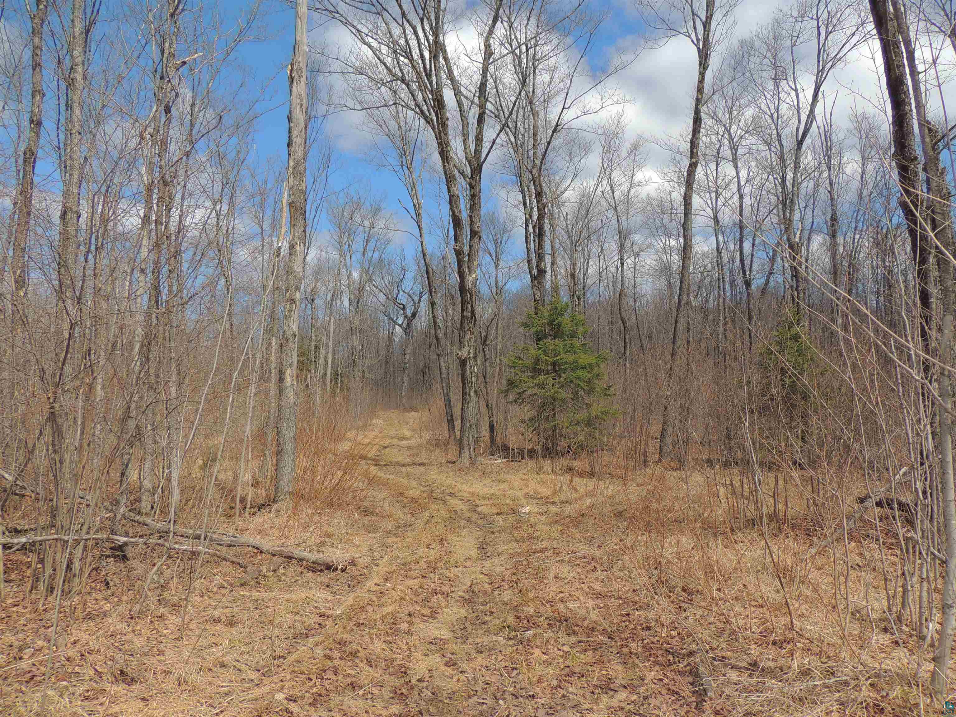 Xxx Springdale Road Tofte, MN 55615 - Photo 15 of 36