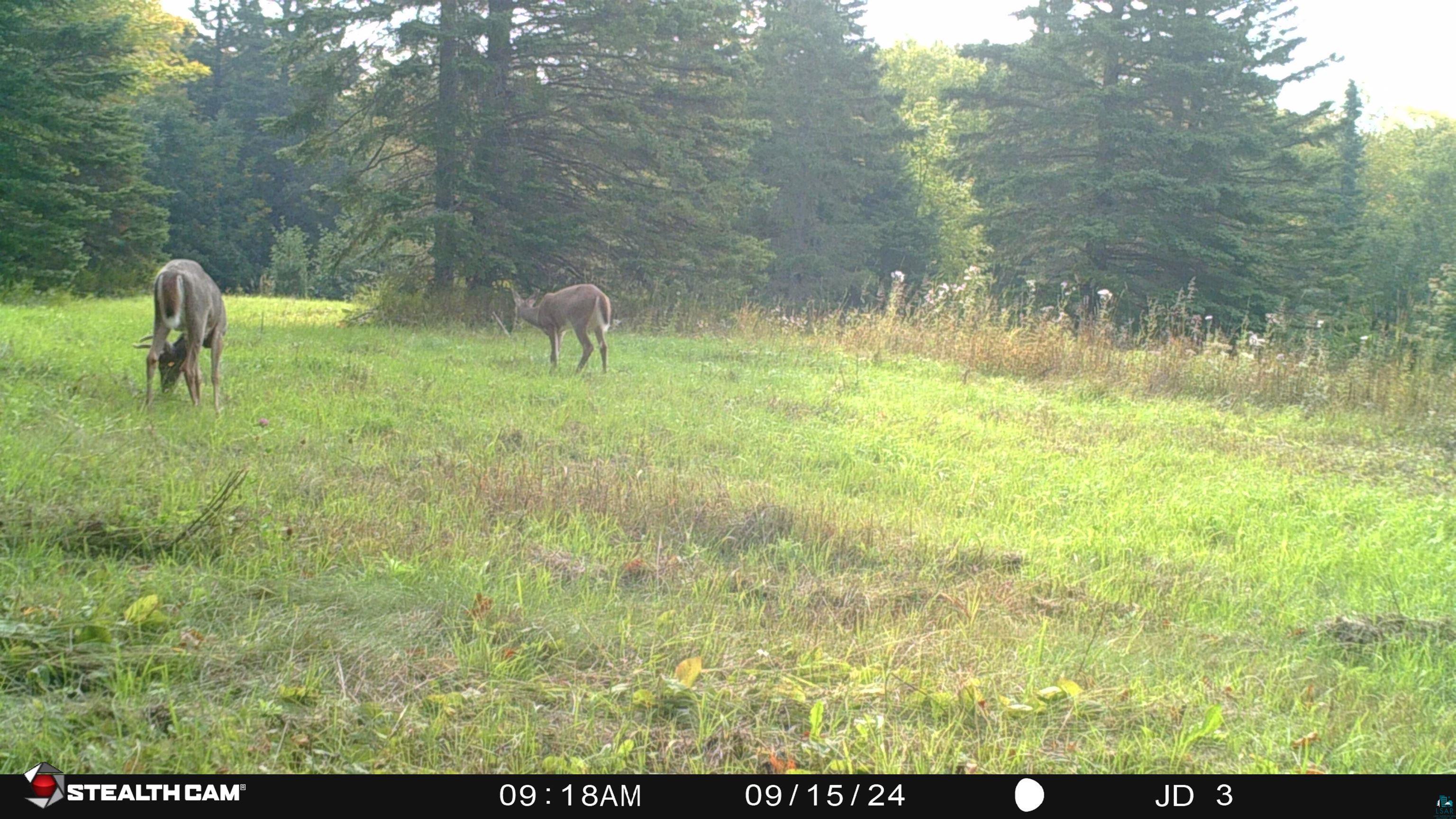 Xxx Springdale Road Tofte, MN 55615 - Photo 16 of 36